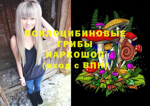 прущая мука Арсеньев