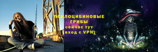 СК Бугульма