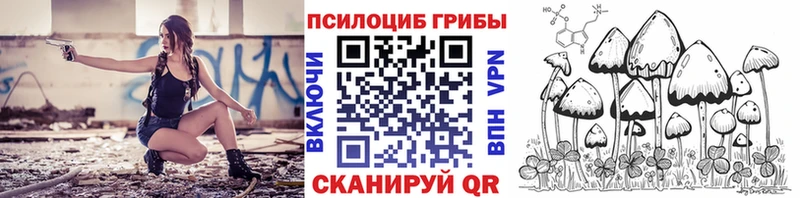 где найти наркотики Межгорье Галлюциногенные грибы MAGIC MUSHROOMS